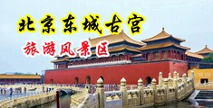 骚逼里插东西插烂小逼中国北京-东城古宫旅游风景区